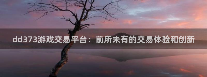 dd373游戏交易平台：前所未有的交易体验和创新
