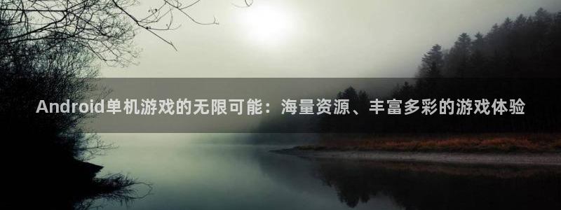 Android单机游戏的无限可能：海量资源、丰富多彩的游戏体