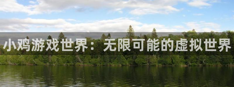 小鸡游戏世界：无限可能的虚拟世界
