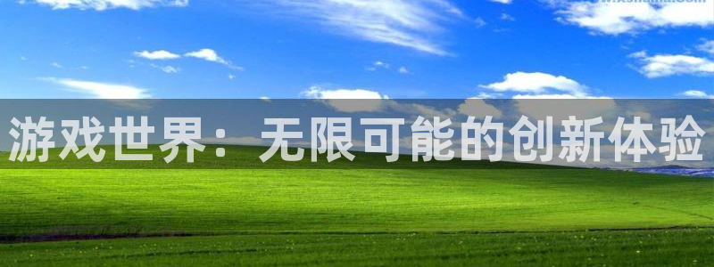 乐玩Game：游戏世界：无限可能的创新体验