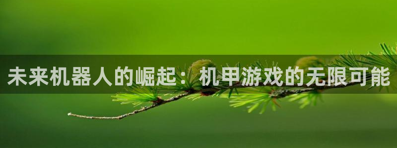 乐玩网络是什么：未来机器人的崛起：机甲游戏的无限可能