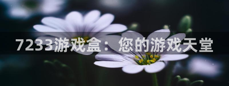 乐玩网络 专业手游平台：7233游戏盒：您的游戏天堂