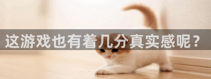 乐玩平台是做什么的啊