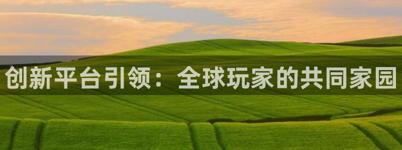 乐玩平台模型官方入口：创新平台引领：全球玩家的共同家园