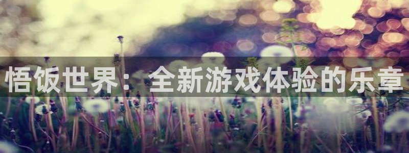 乐玩科技app是什么软件