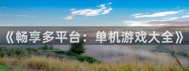 乐玩官方下载：《畅享多平台：单机游戏大全》
