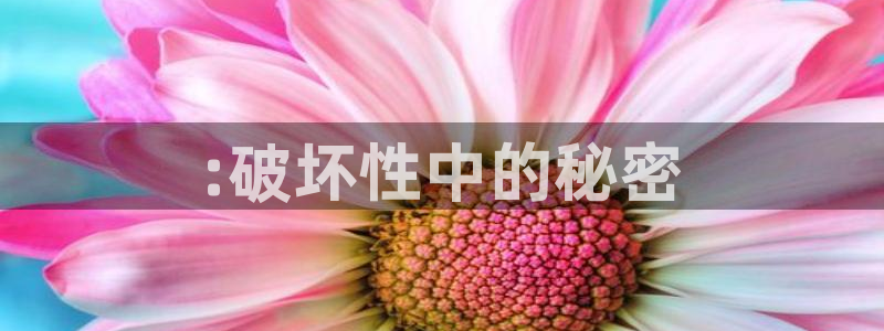 乐玩网络有什么游戏：:破坏性中的秘密