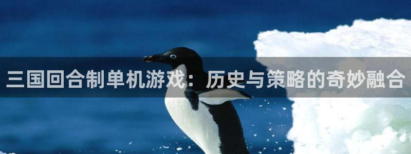 乐玩ios版下载：三国回合制单机游戏：历史与策略的奇妙融合