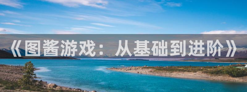 乐玩网络科技官网首页：《图酱游戏：从基础到进阶》